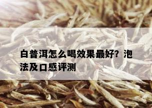 白普洱怎么喝效果更好？泡法及口感评测