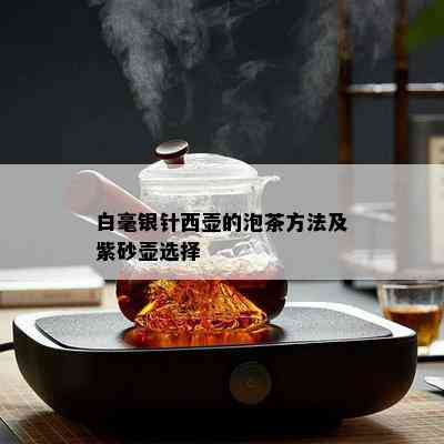 白毫银针西壶的泡茶方法及紫砂壶选择