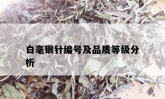 白毫银针编号及品质等级分析