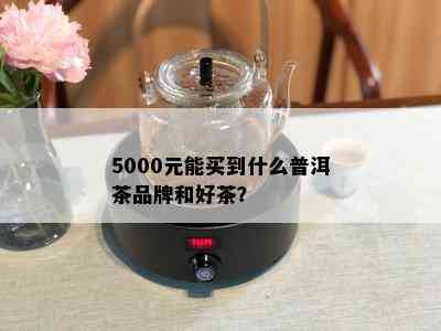 5000元能买到什么普洱茶品牌和好茶？