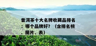 普洱茶十大名牌收藏品排名：哪个品牌好？（含排名榜、图片、表）