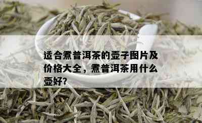 适合煮普洱茶的壶子图片及价格大全，煮普洱茶用什么壶好？