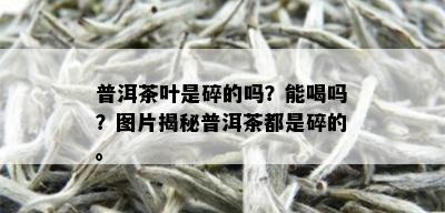 普洱茶叶是碎的吗？能喝吗？图片揭秘普洱茶都是碎的。