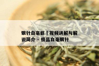 银针白毫巨喆视频讲解与解说简介 - 极品白毫银针