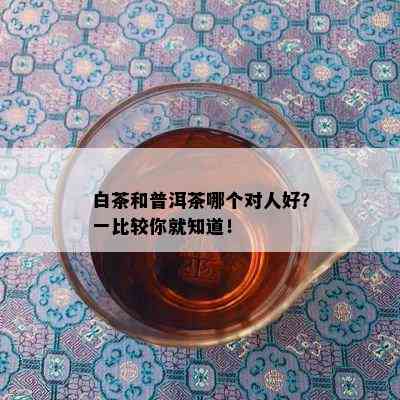 白茶和普洱茶哪个对人好？一比较你就知道！