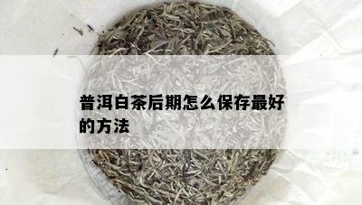 普洱白茶后期怎么保存更好的方法