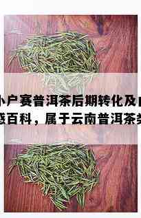 小户赛普洱茶后期转化及口感百科，属于云南普洱茶类。