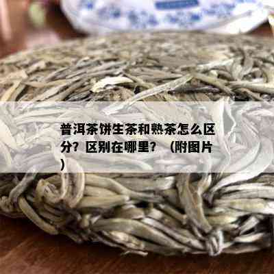 普洱茶饼生茶和熟茶怎么区分？区别在哪里？（附图片）