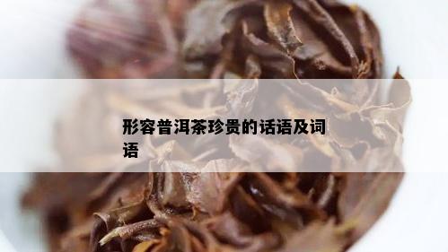 形容普洱茶珍贵的话语及词语