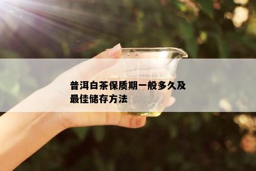 普洱白茶保质期一般多久及更佳储存方法