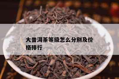 大普洱茶等级怎么分别及价格排行