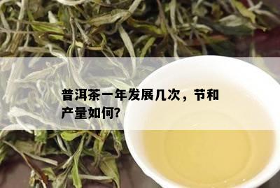 普洱茶一年发展几次，节和产量如何？