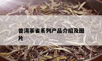 普洱茶雀系列产品介绍及图片