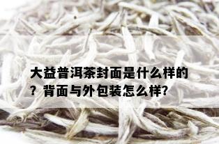 大益普洱茶封面是什么样的？背面与外包装怎么样？