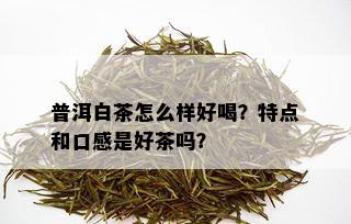 普洱白茶怎么样好喝？特点和口感是好茶吗？