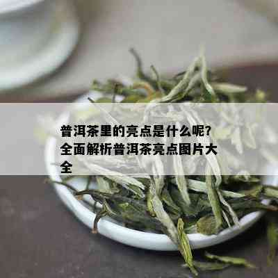 普洱茶里的亮点是什么呢？全面解析普洱茶亮点图片大全