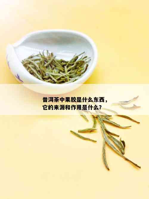 普洱茶中果胶是什么东西，它的来源和作用是什么？