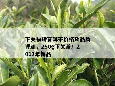 下关福砖普洱茶价格及品质评测，250g下关茶厂2017年新品