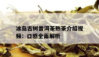 冰岛古树普洱茶熟茶介绍视频：口感全面解析