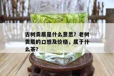 古树贡眉是什么意思？老树贡眉的口感及价格，属于什么茶？