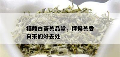 福鼎白茶善品堂，懂得善香白茶的好去处