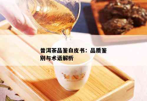 普洱茶品鉴白皮书：品质鉴别与术语解析