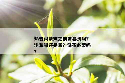 熟普洱茶煮之前需要洗吗？泡着喝还是煮？洗茶必要吗？