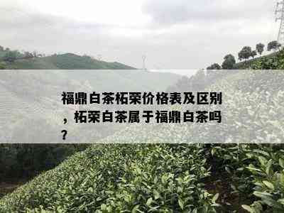 福鼎白茶柘荣价格表及区别，柘荣白茶属于福鼎白茶吗？