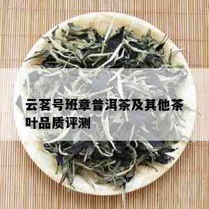 云茗号班章普洱茶及其他茶叶品质评测