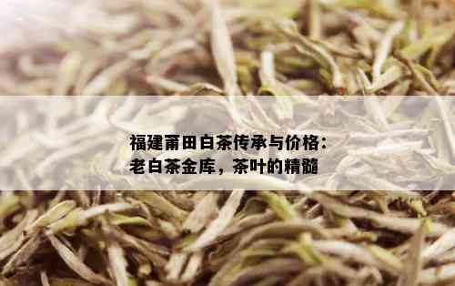 福建莆田白茶传承与价格：老白茶金库，茶叶的精髓