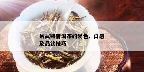 易武熟普洱茶的汤色、口感及品饮技巧