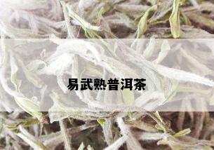 易武熟普洱茶