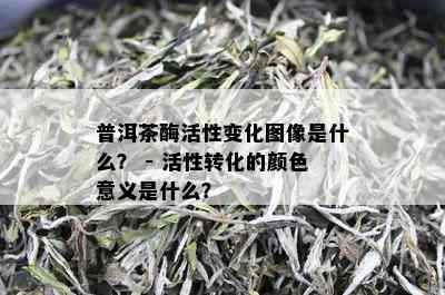 普洱茶酶活性变化图像是什么？ - 活性转化的颜色意义是什么？