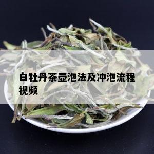 白牡丹茶壶泡法及冲泡流程视频