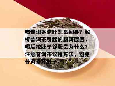 喝普洱茶跑肚怎么回事？解析普洱茶引起的腹泻原因，喝后拉肚子舒服是为什么？注意普洱茶饮用方法，避免普洱茶坏肚子。