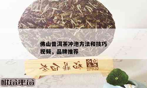 佛山普洱茶冲泡方法和技巧视频，品牌推荐