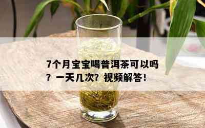 7个月宝宝喝普洱茶可以吗？一天几次？视频解答！