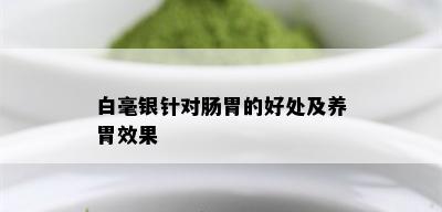 白毫银针对肠胃的好处及养胃效果