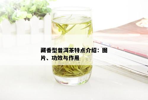 藏香型普洱茶特点介绍：图片、功效与作用