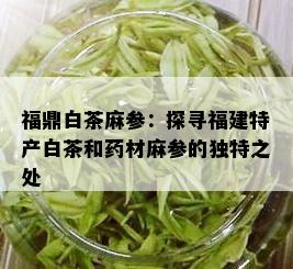 福鼎白茶麻参：探寻福建特产白茶和材麻参的独特之处