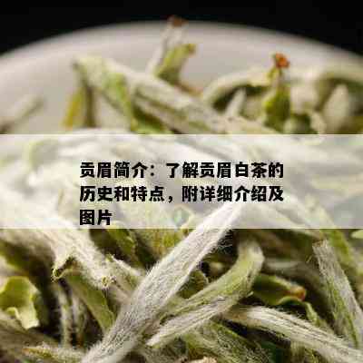 贡眉简介：了解贡眉白茶的历史和特点，附详细介绍及图片