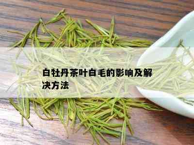 白牡丹茶叶白毛的影响及解决方法