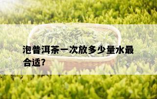 泡普洱茶一次放多少量水最合适？