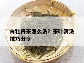 白牡丹茶怎么洗？茶叶清洗技巧分享