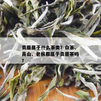 贡眉属于什么茶类？白茶、高山、老枞都属于贡眉茶吗？