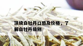 顶级白牡丹口感及价格，了解白牡丹级别