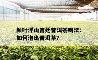 颜叶浮山宫廷普洱茶喝法：如何泡出普洱茶？