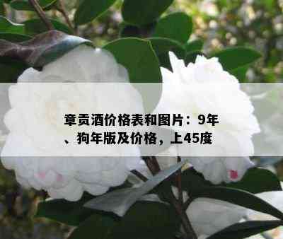 章贡价格表和图片：9年、狗年版及价格，上45度