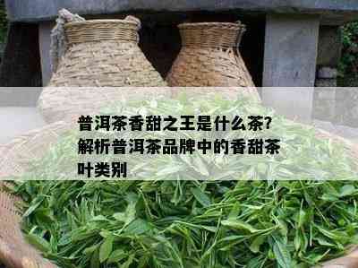 普洱茶香甜之王是什么茶？解析普洱茶品牌中的香甜茶叶类别