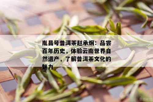 胤昌号普洱茶赵承炯：品尝百年历史，体验云南世界自然遗产，了解普洱茶文化的魅力